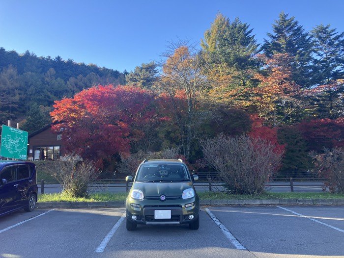 草津は結構な紅葉でした🍁