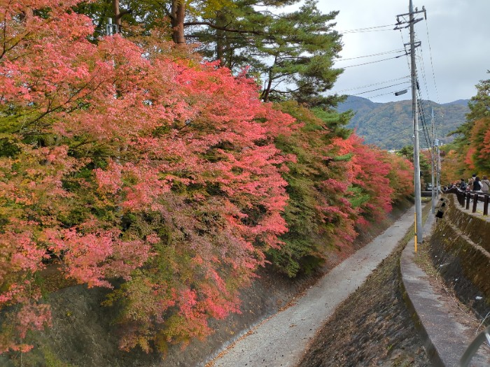 河口湖紅葉まつり