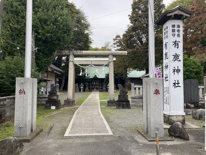 鳥居くぐります⛩️