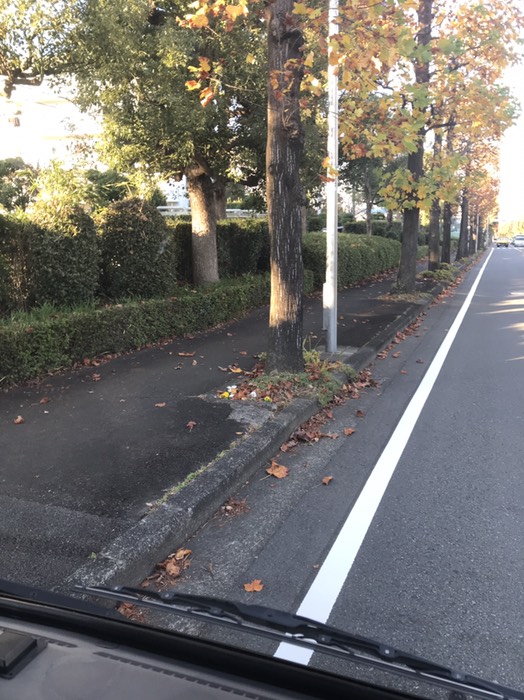 萱場公園東側