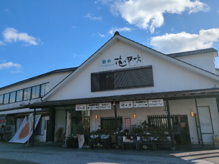 花伊吹
