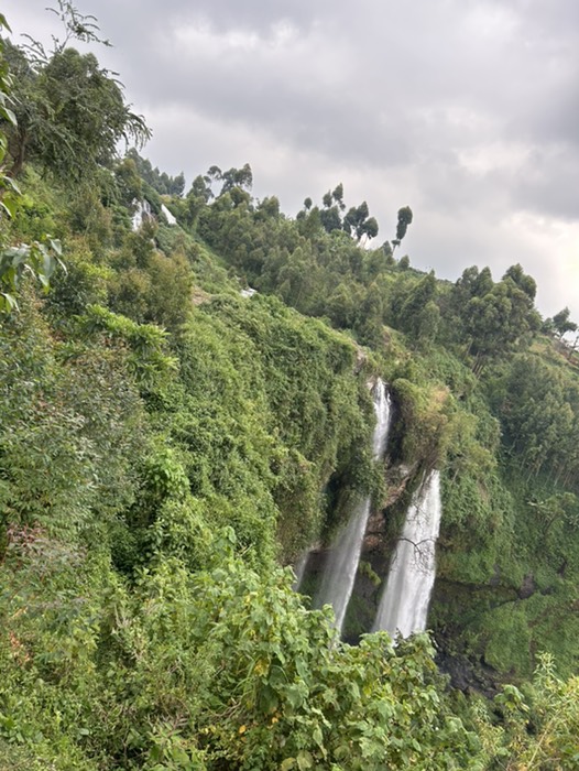 SIPI Fall(滝)