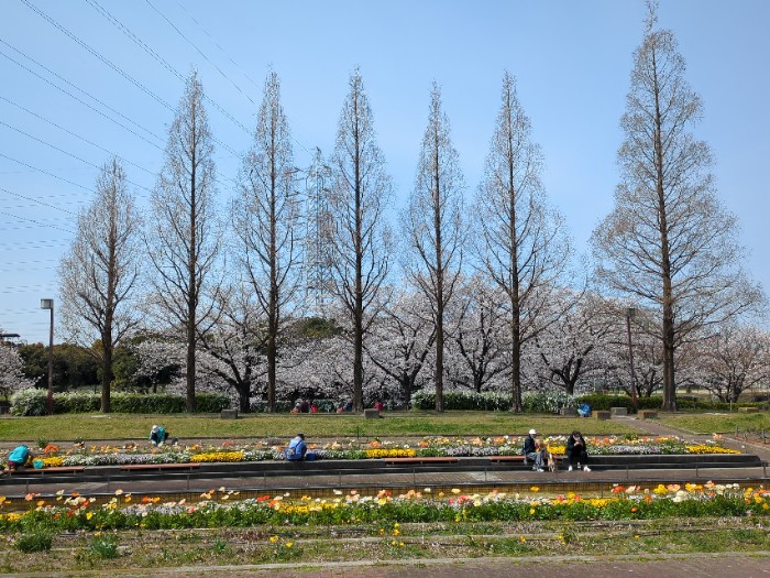 荒子川公園