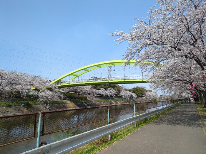 荒子川パークブリッジ