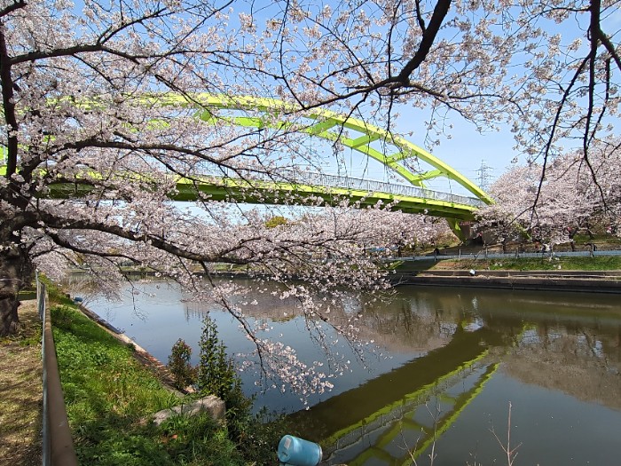 荒子川