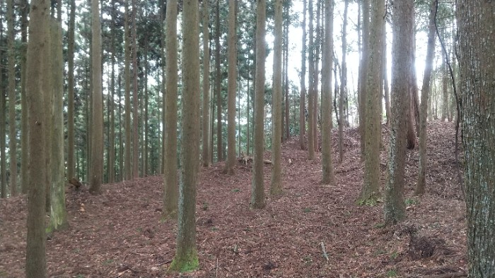 土塁