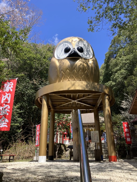 金運不苦労