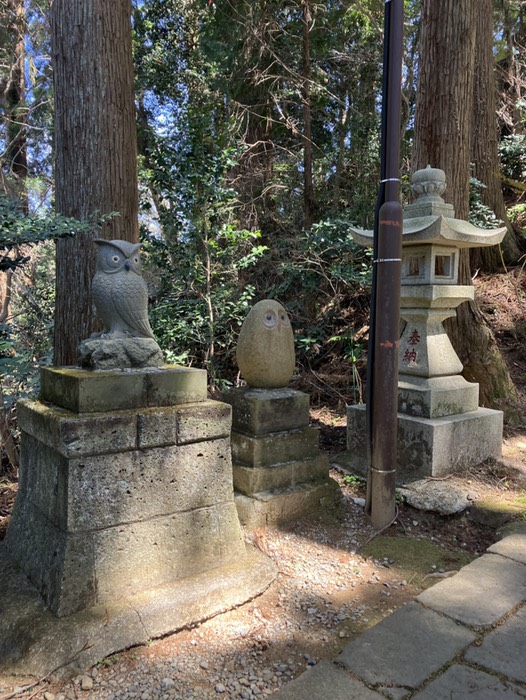 狛梟🦉