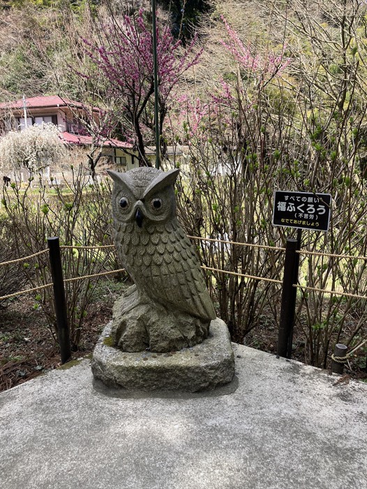 福ふくろう🦉