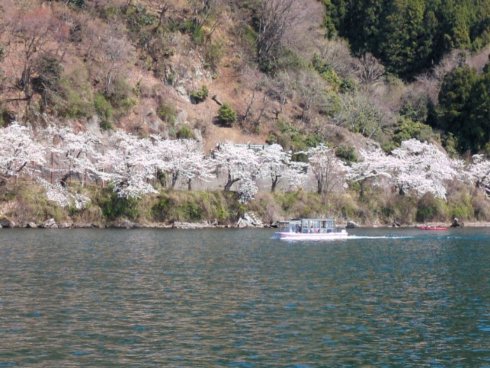 海津大崎
