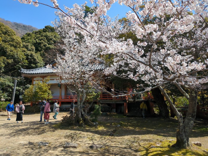 大崎寺