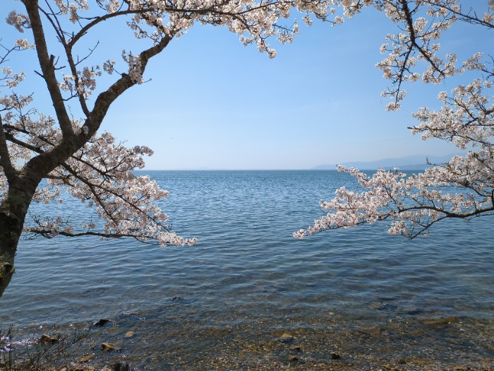 琵琶湖