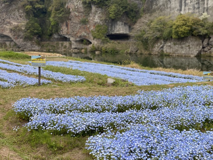 青の洞門