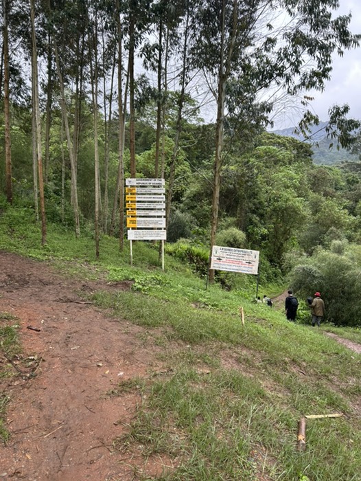 登山道入口