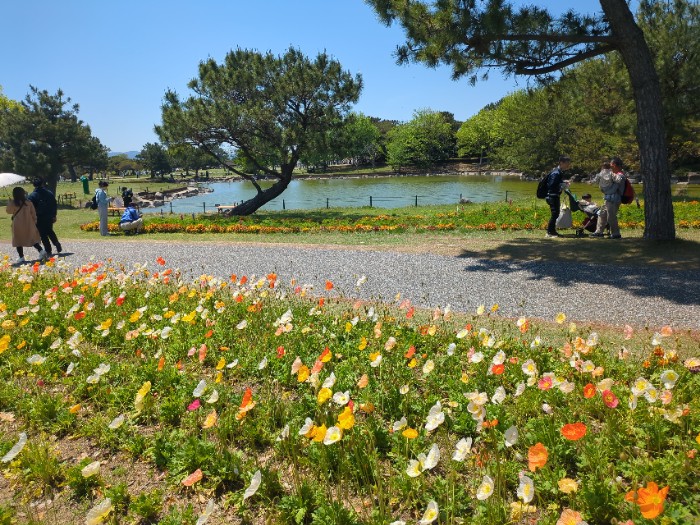 彩りの池