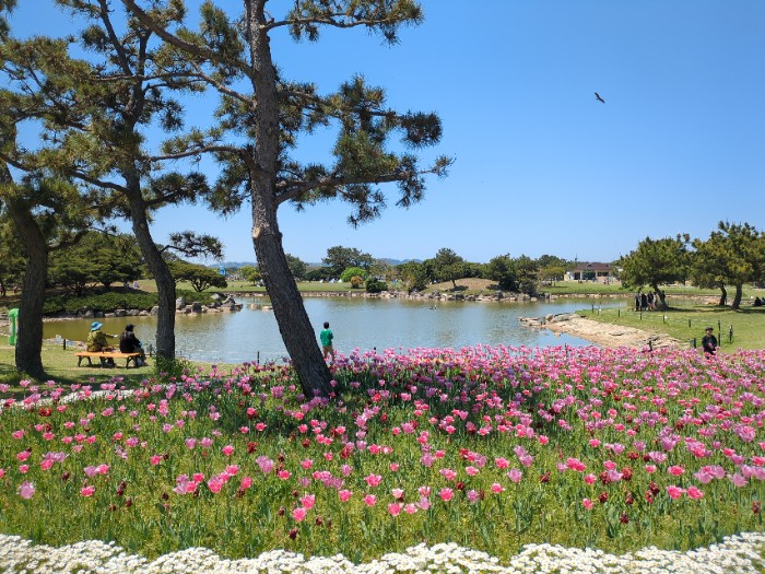 虹の池