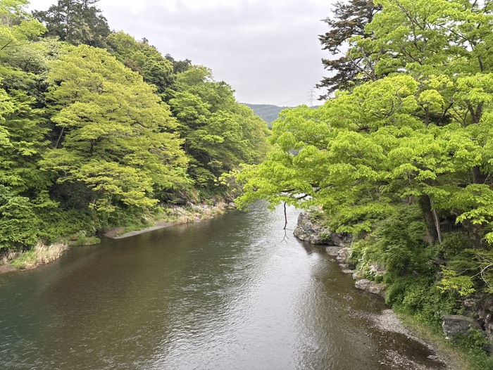 澤乃井②