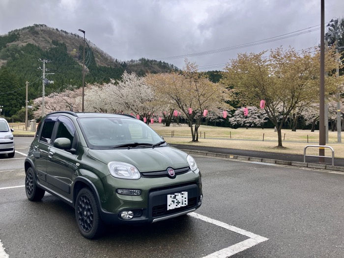 まだ桜のピンクが残ってる🌸