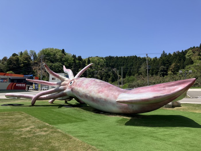 実物大ダイオウイカ？