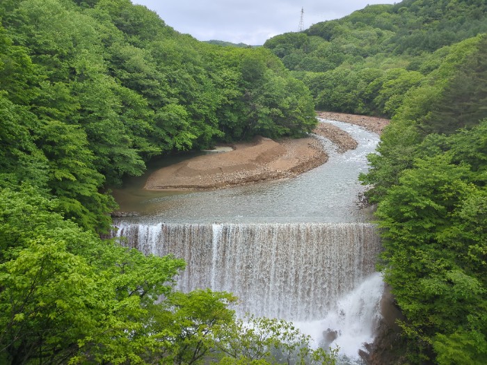 森の大橋より