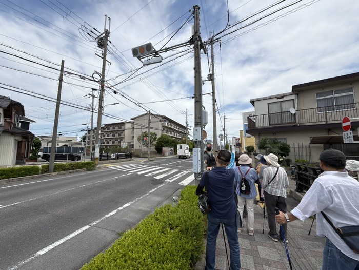 横断歩道