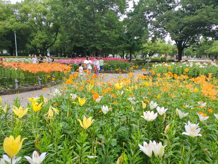 ゆり園
