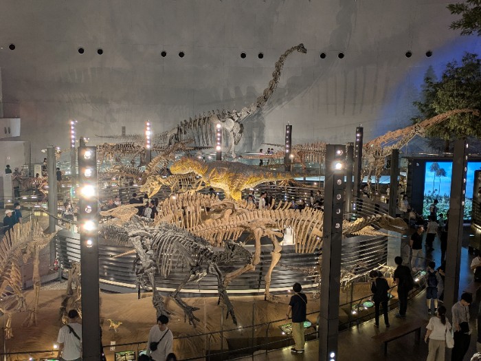 本館1階展示
