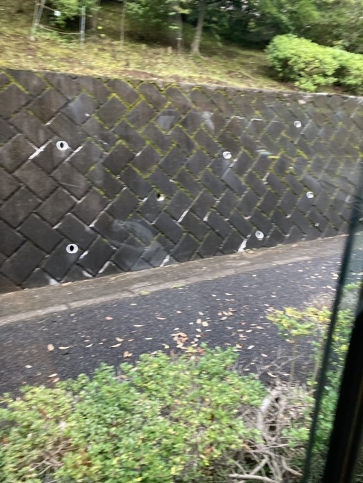 豊四通り