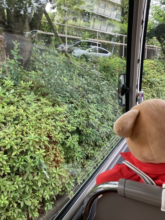 豊ヶ丘第一公園下
