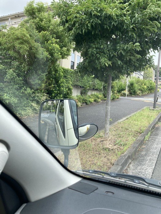 はるひ野５丁目