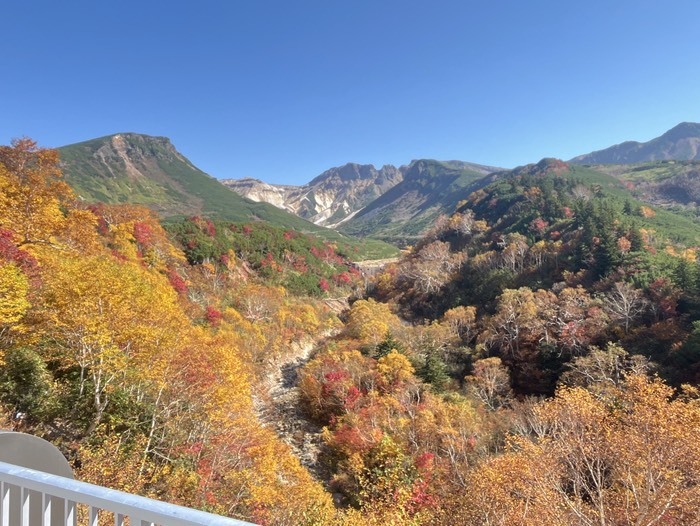 凌雲閣の紅葉