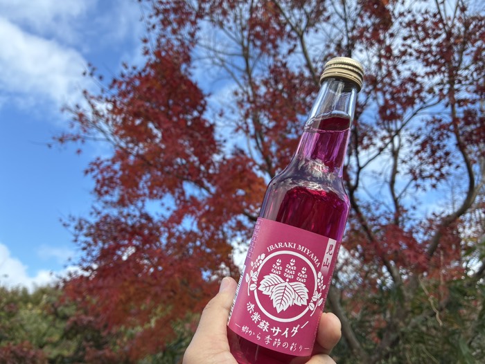 赤紫蘇サイダー