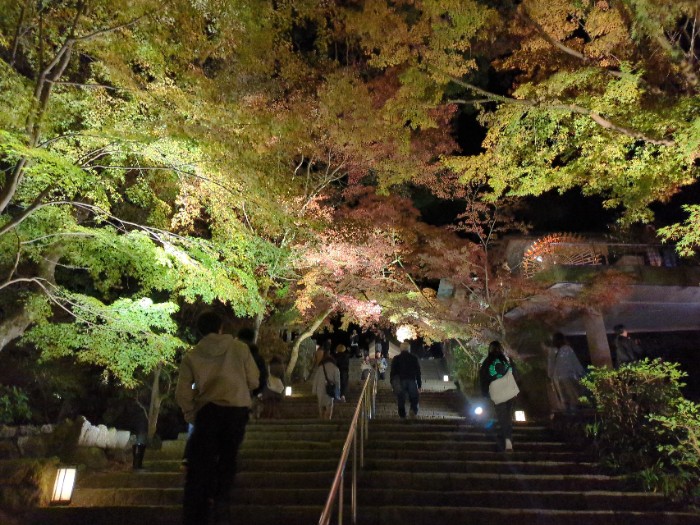 竈門神社 紅葉ライ卜アップ