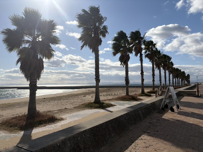 車の撮影で来たが撮影できるのか心配