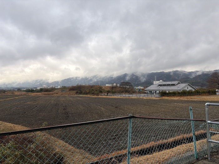 霧がいい感じだな