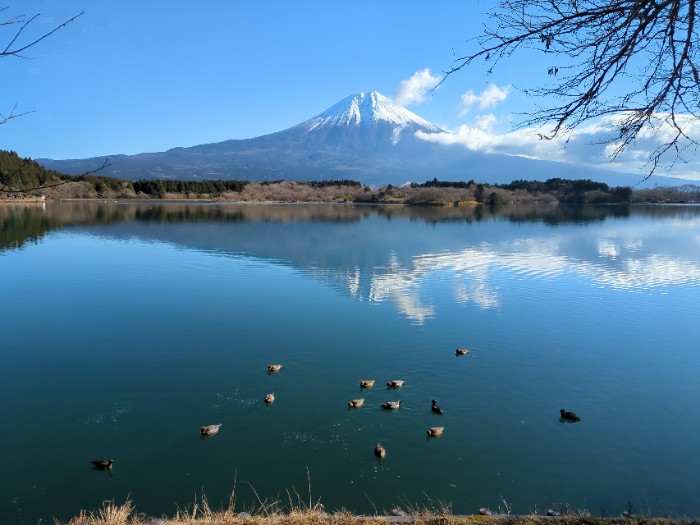 田貫湖 逆さ富士