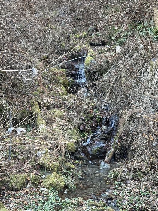 滝とはいえない？