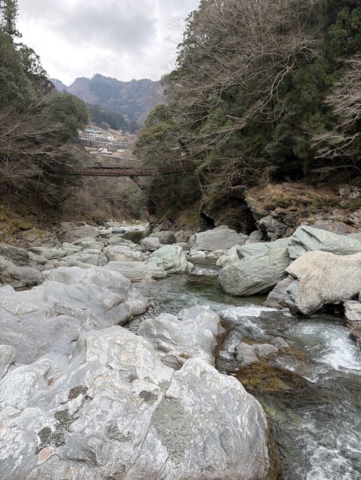 祖谷のかずら橋