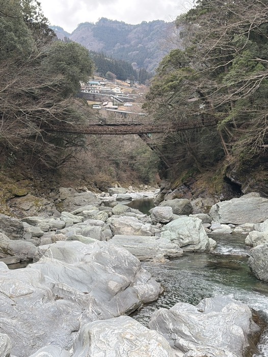祖谷のかずら橋