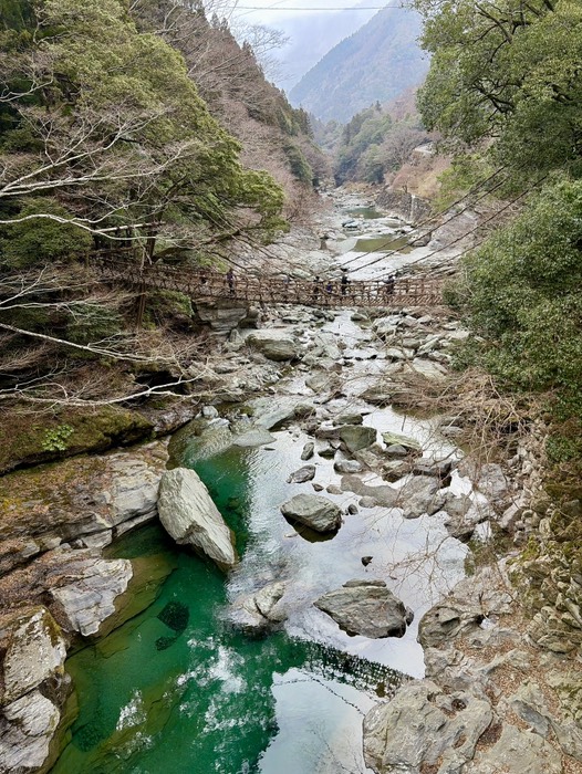 祖谷のかずら橋