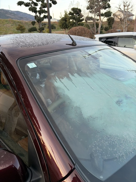 朝起きたら凍ってた、、、