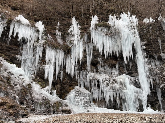 今回はなかなか立派