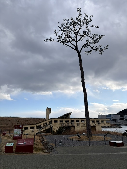 震災遺構 奇跡の一本松