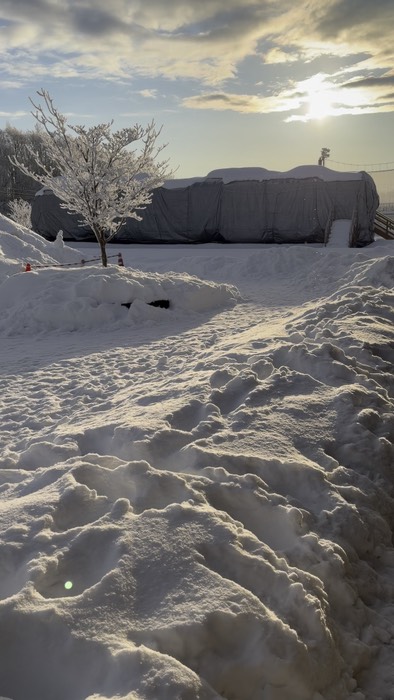 ダイヤモンドダスト✨