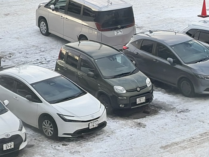 雪は降らなかったようです