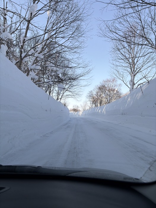 下りの雪の回廊