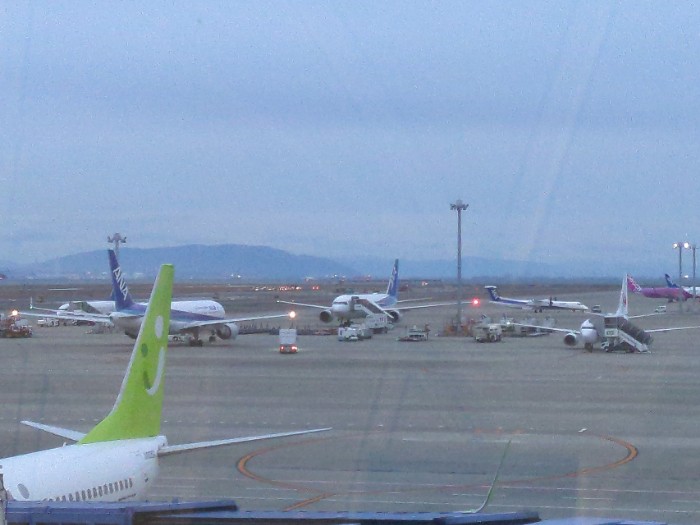 中部国際空港(セン卜レア)