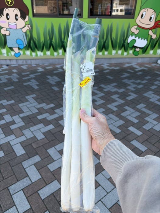 下仁田ねぎ買いました
