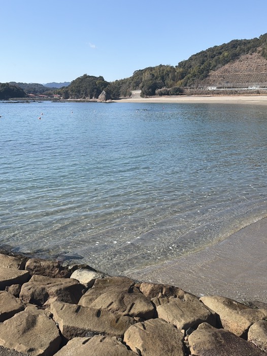 水がめっちゃ綺麗！