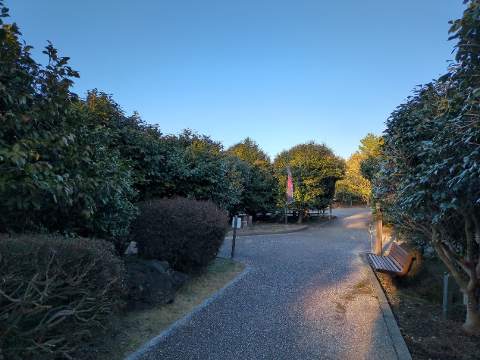 小室山つばき園